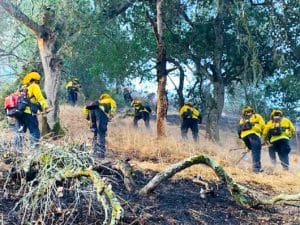 CCC Wildfire Mitigation Program